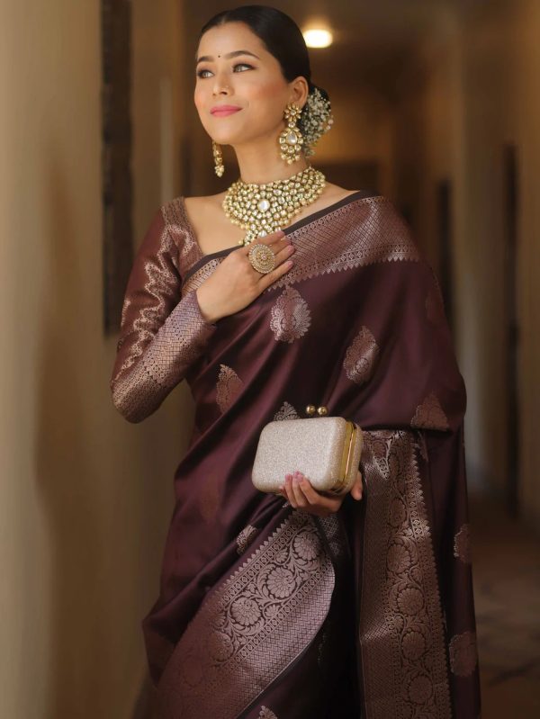 Brown Soft Lichi Silk Banarasi Saree - Image 2