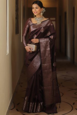 Banarasi Soft Lichi Silk Saree